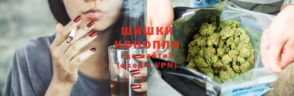 соль ск Арсеньев
