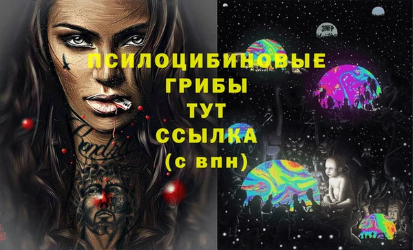 соль ск Арсеньев