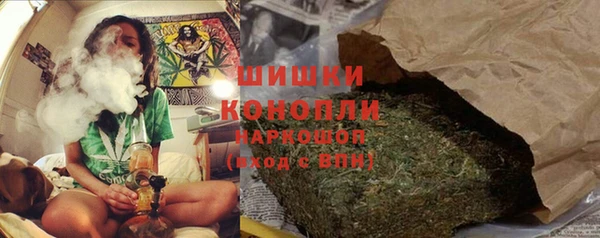 молекула духа Рославль