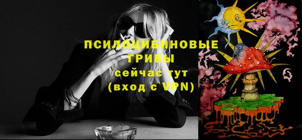 соль ск Арсеньев