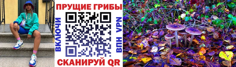 Псилоцибиновые грибы Magic Shrooms Байкальск